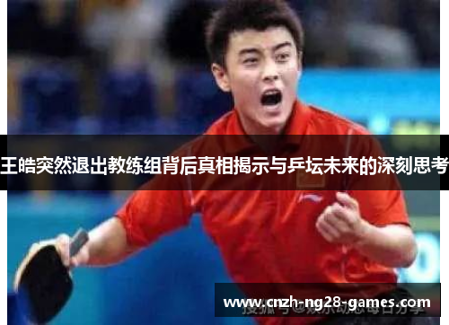 王皓突然退出教练组背后真相揭示与乒坛未来的深刻思考 王皓突然退出教练组背后真相揭示与乒坛未来的深刻思考