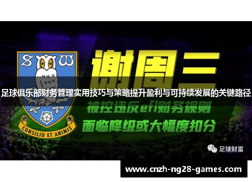 足球俱乐部财务管理实用技巧与策略提升盈利与可持续发展的关键路径
